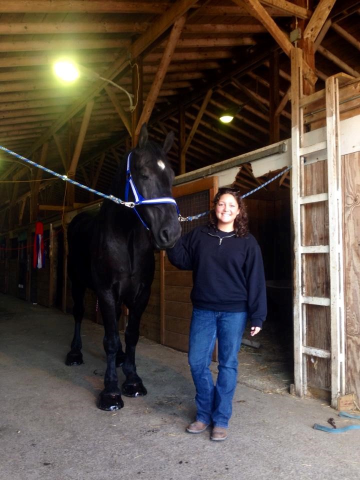 One of Kevin&#39;s horses, Chief  