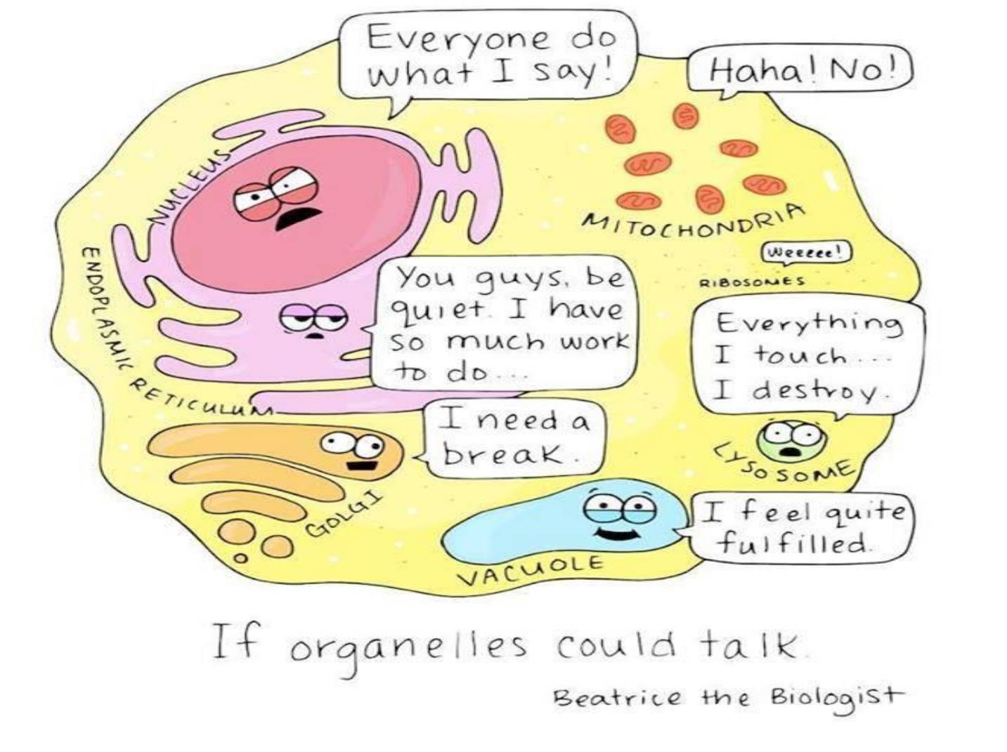 Organelles