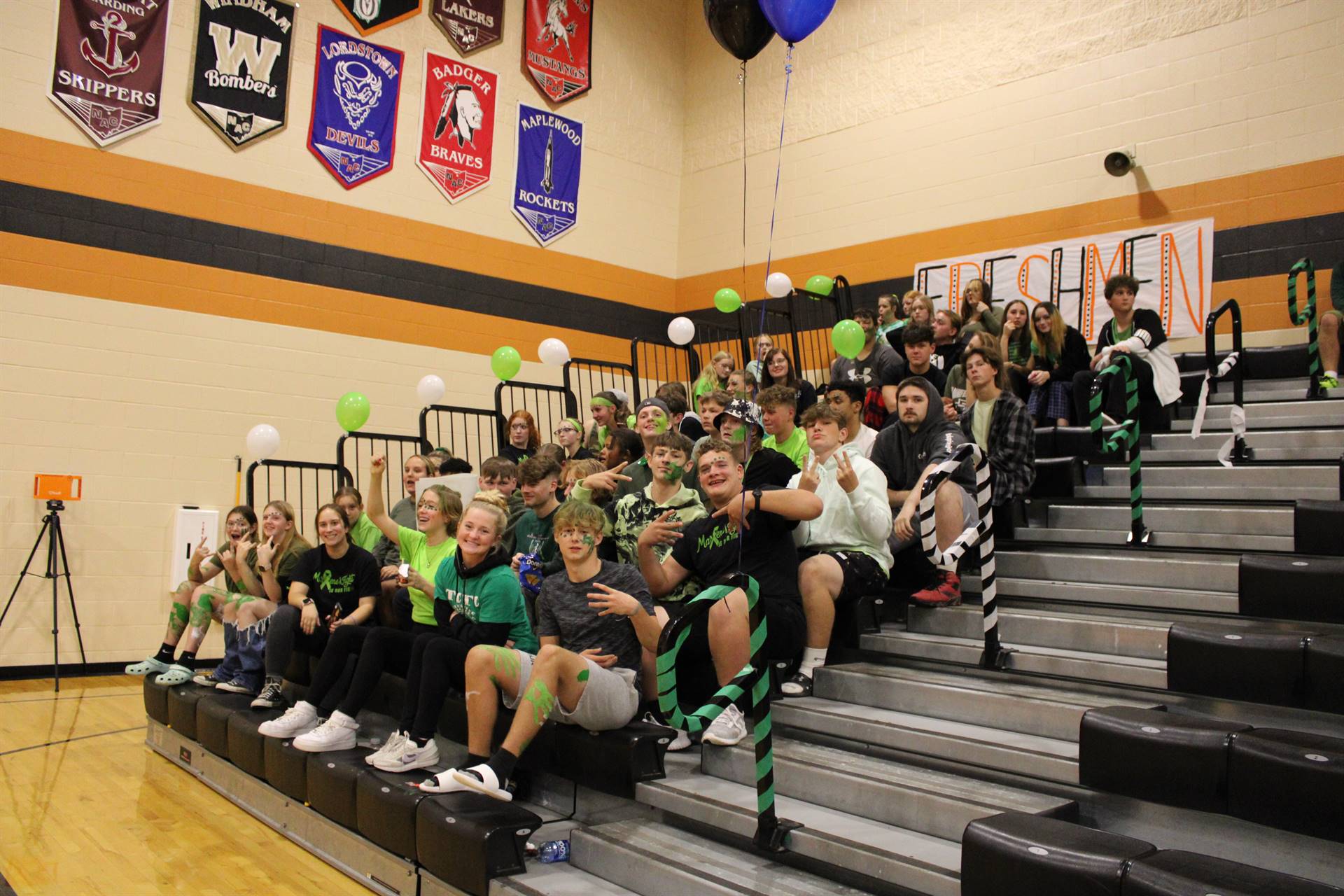 Volleyball Green Game