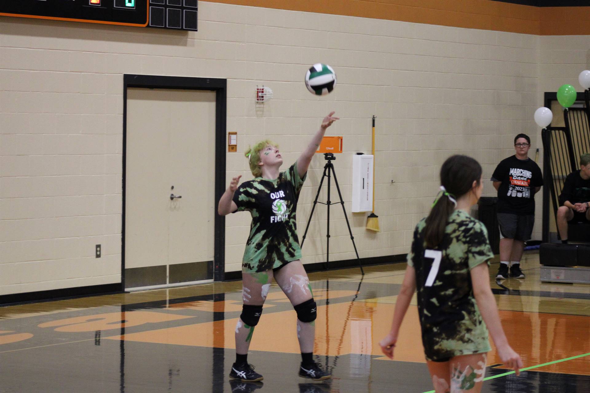 Volleyball Green Game