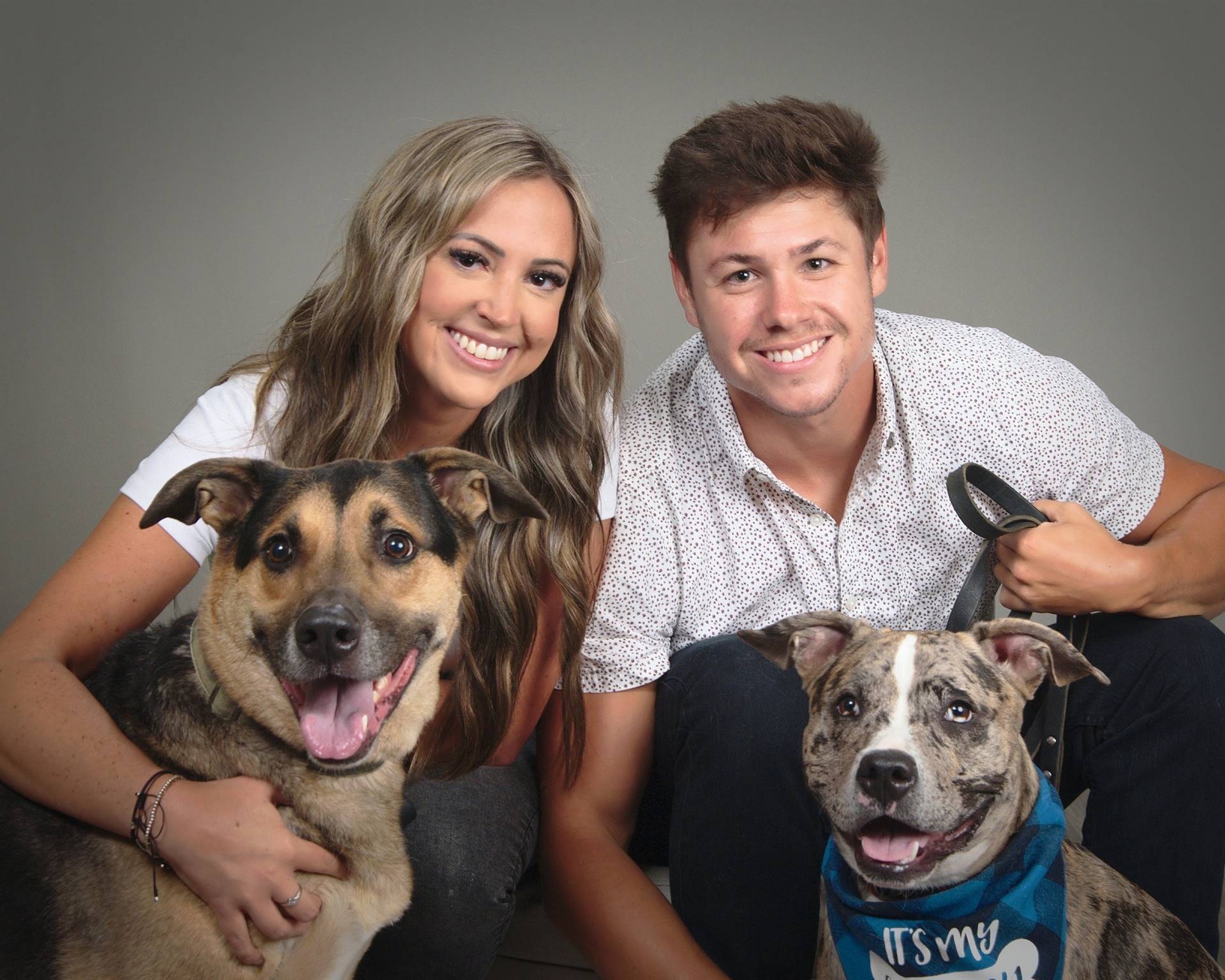 Rob & Dogs