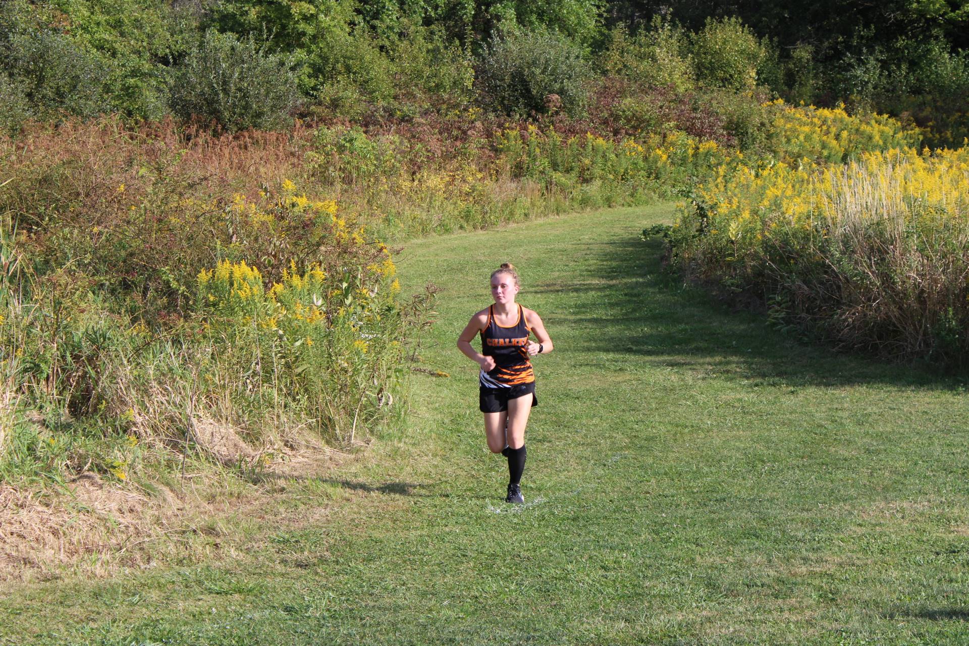 Cross Country Meet at Champion