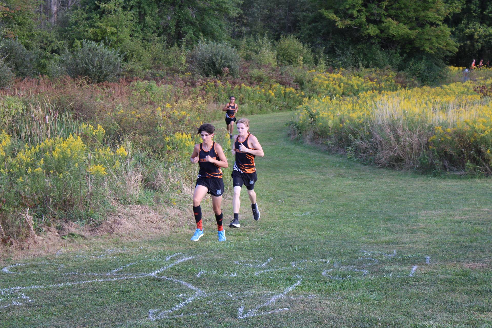 Cross Country Meet at Champion