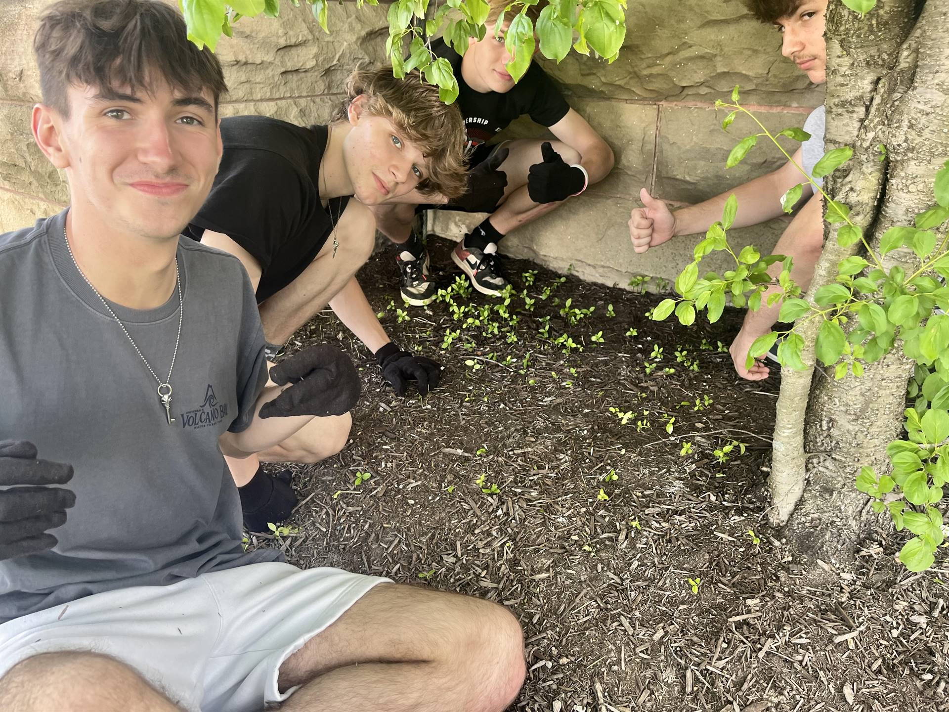 Landscaping Project