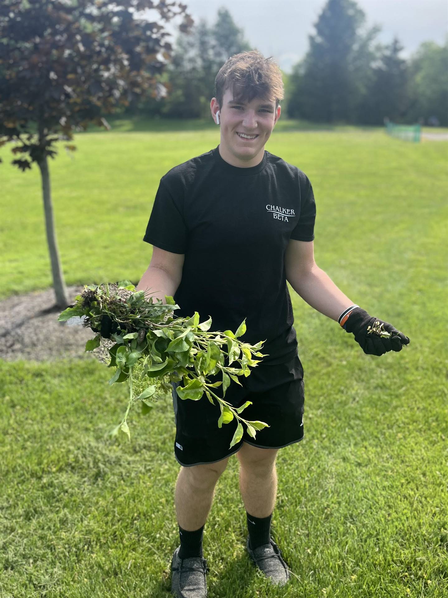 Landscaping Project