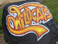 Wildcat